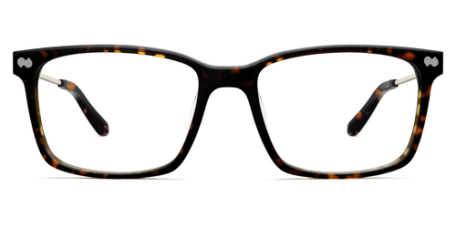 Mixed Material Tortoise Gold Metal