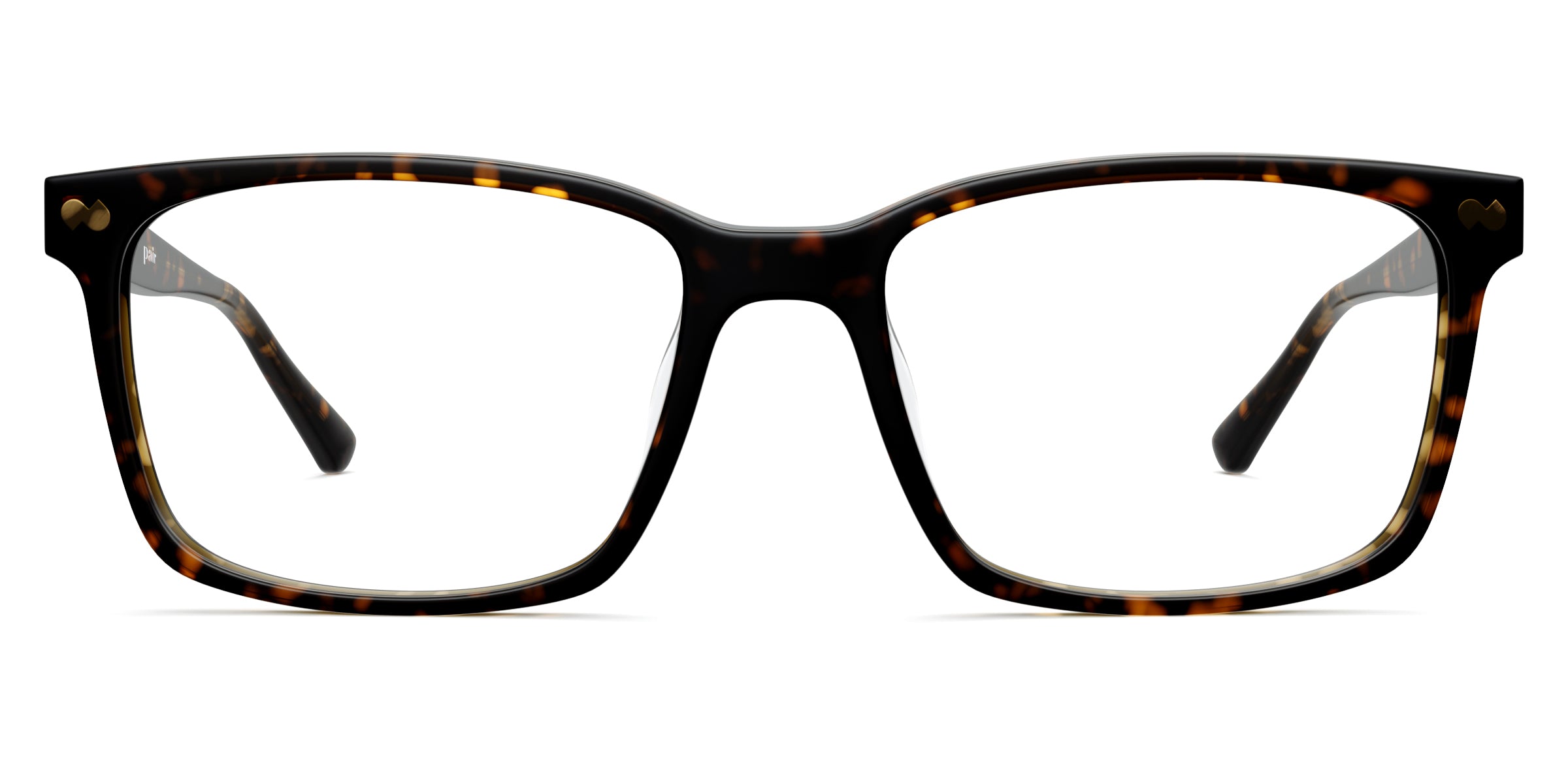 The Kirby - Tortoise – Pair Eyewear