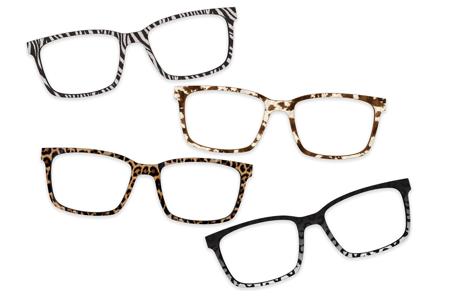 The Animal Essentials Set