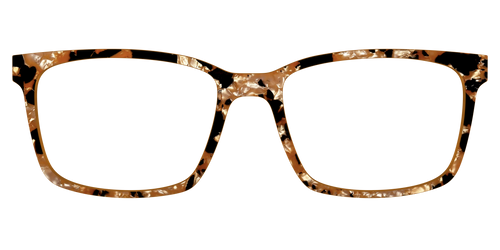 The Caramel Pearl Tortoise - Kirby Top - Pair Eyewear