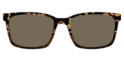 The Polarized Chic Tortoise Split Sun Top - Front Top Thumbnail - Pair Eyewear
