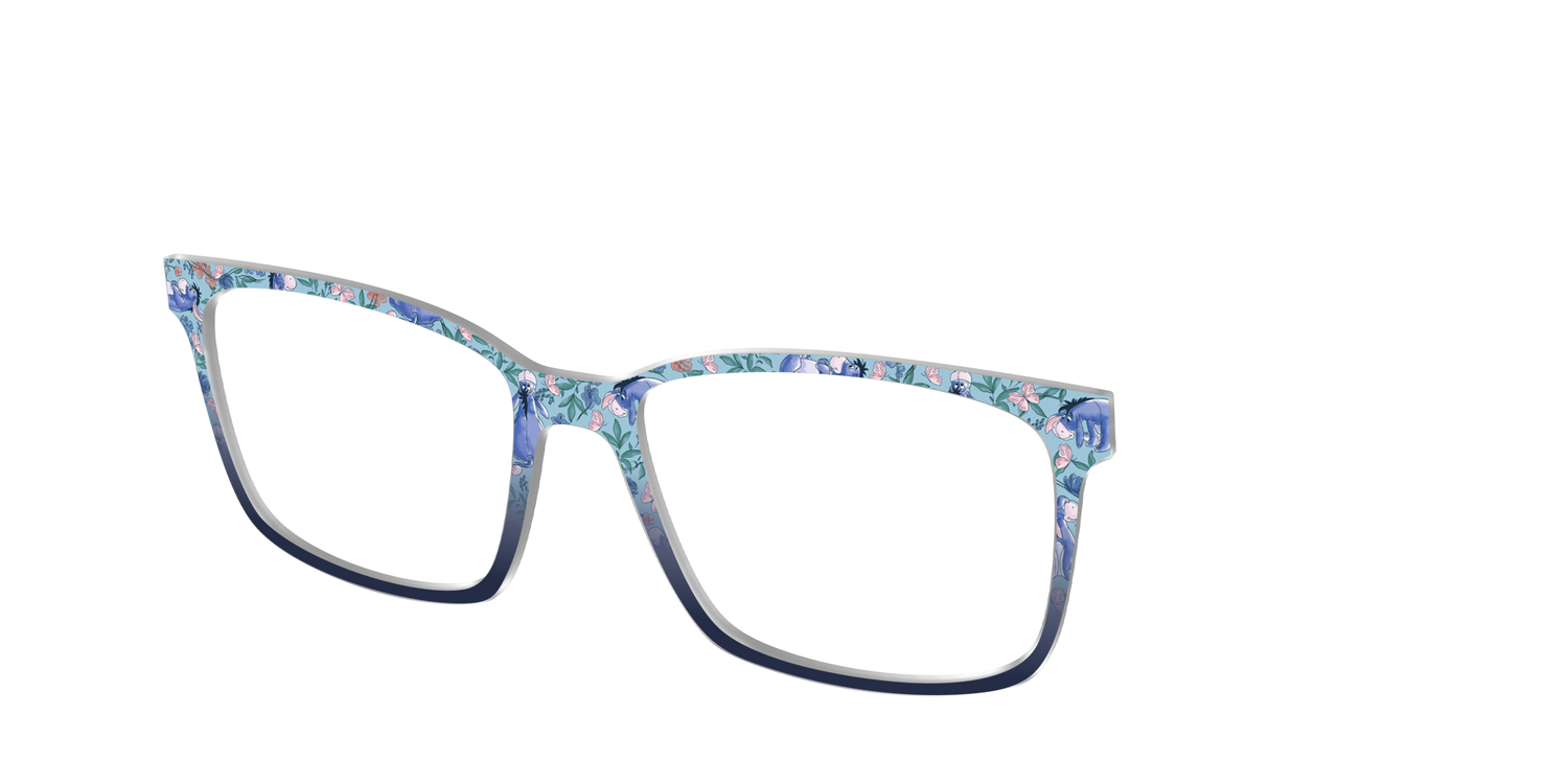 Eeyore's Blooming Meadow - Angle Top Image - Pair Eyewear