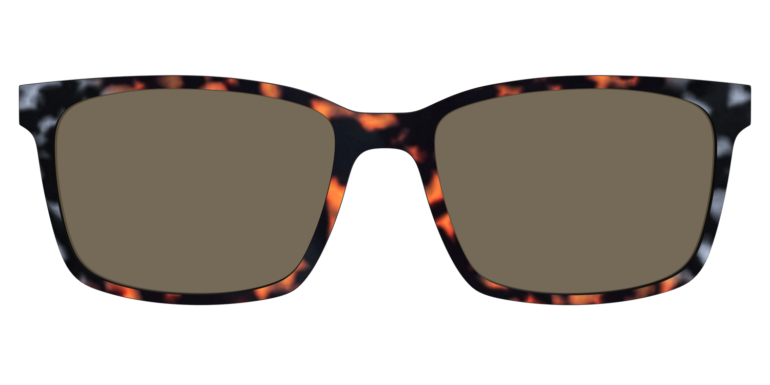 The Polarized Gray & Amber Tortoise Sun Top - Lifestyle Kirby Top Image - Pair Eyewear