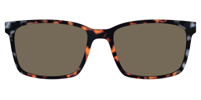 The Polarized Gray & Amber Tortoise Sun Top - Front Top Thumbnail - Pair Eyewear