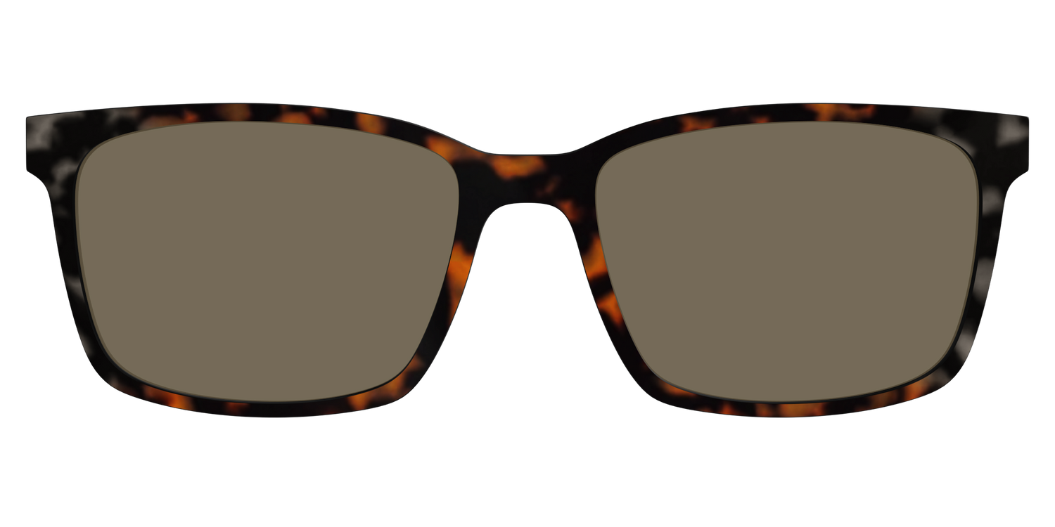 The Polarized Gray & Amber Tortoise Sun Top - Lifestyle Kirby Top Image - Pair Eyewear