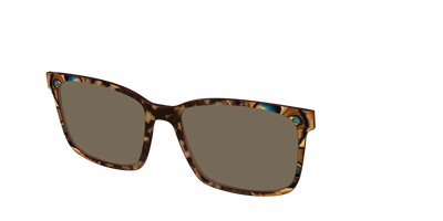 The Polarized Moth Wings Sun Top - Angle Top Thumbnail - Pair Eyewear