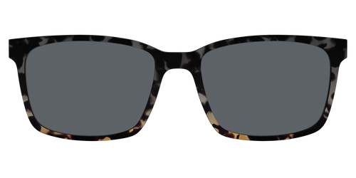The Polarized Shadow Tortoise Sun Top - Kirby Top - Pair Eyewear