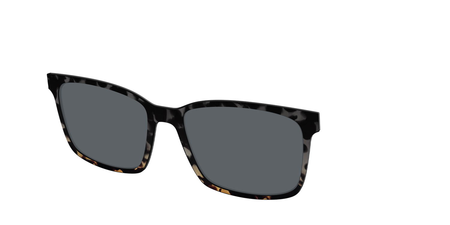The Polarized Shadow Tortoise Sun Top - Angle Top Image - Pair Eyewear