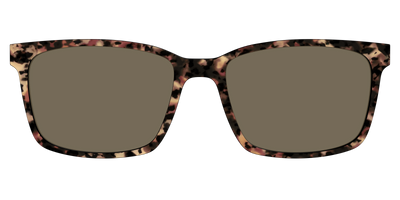 The Polarized Sienna Tortoise Sun Top - Front Top Thumbnail - Pair Eyewear