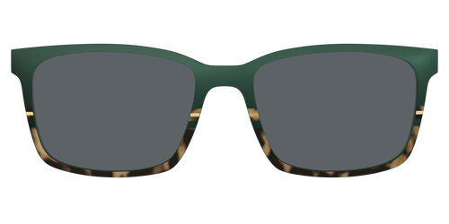 The Polarized Spruce Tortoise Sun Top - Kirby Top - Pair Eyewear