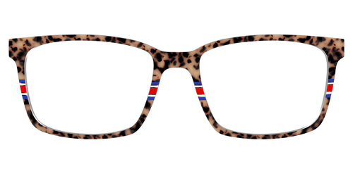 The Spirit Stripe Tortoise - Kirby Top - Pair Eyewear