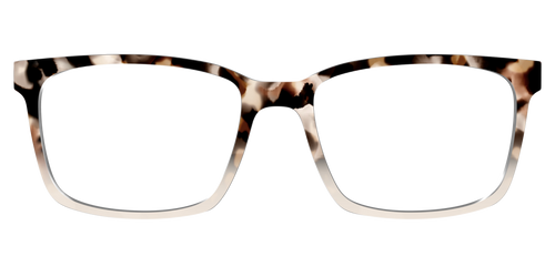 The Vanilla Latte Tortoise - Kirby Top - Pair Eyewear