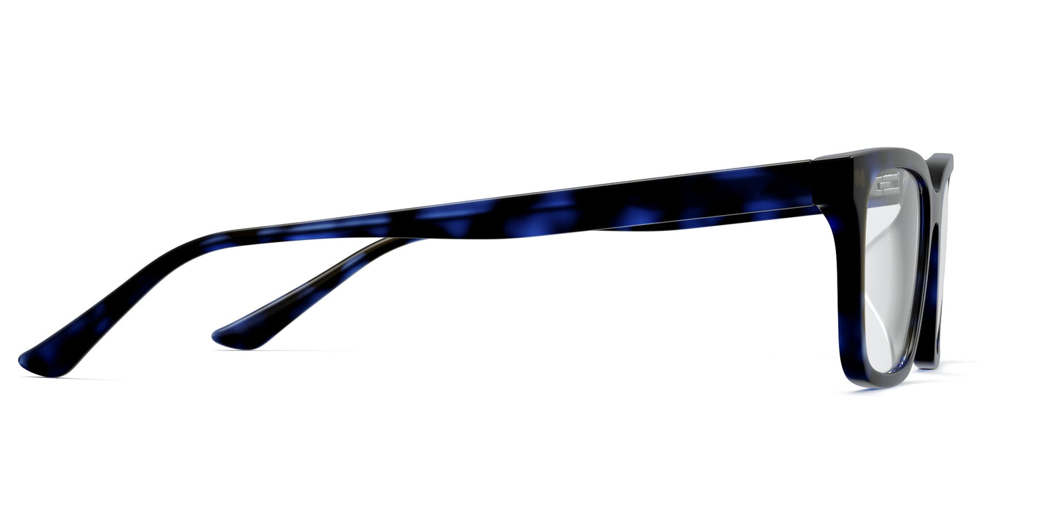 blue tortoise
