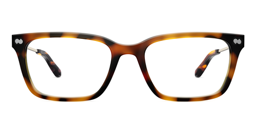 Mixed Material Tortoise Gold Metal