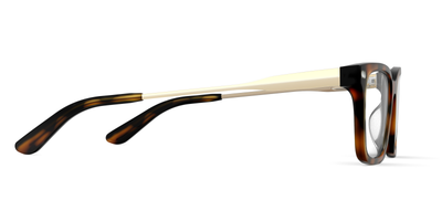 Mixed Material Tortoise Gold Metal