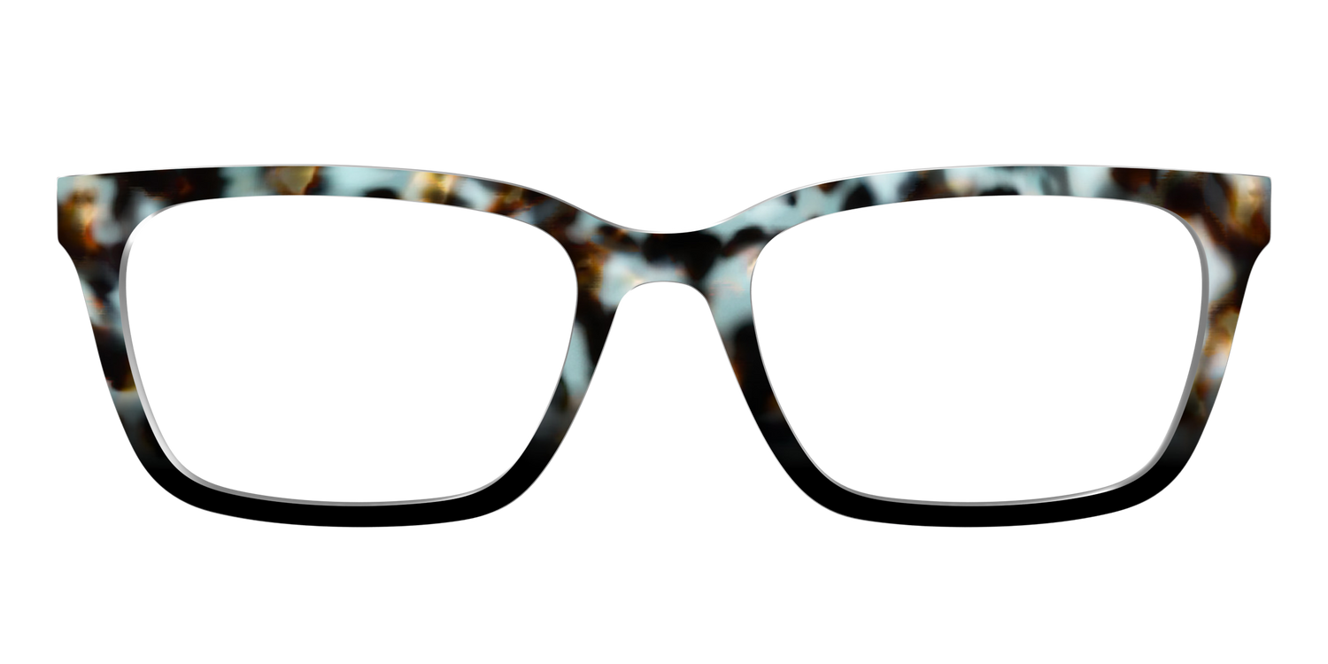 The Academic Tortoise - Front Top Image - Pair Eyewear