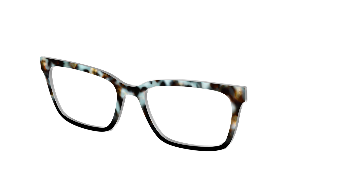 The Academic Tortoise - Angle Top Image - Pair Eyewear