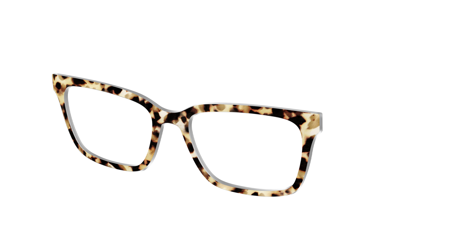 The Brown Sugar Tortoise