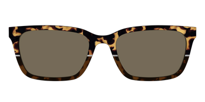 The Polarized Chic Tortoise Split Sun Top - Front Top Thumbnail - Pair Eyewear