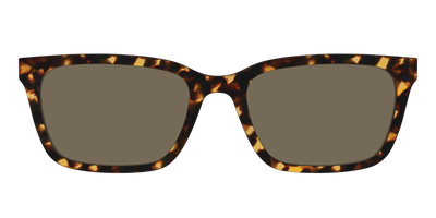 The Non-Polarized Tortoise Sun Top - Front Top Thumbnail - Pair Eyewear