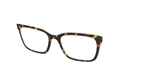 The Tortoise - Secondary Image - Pair Eyewear
