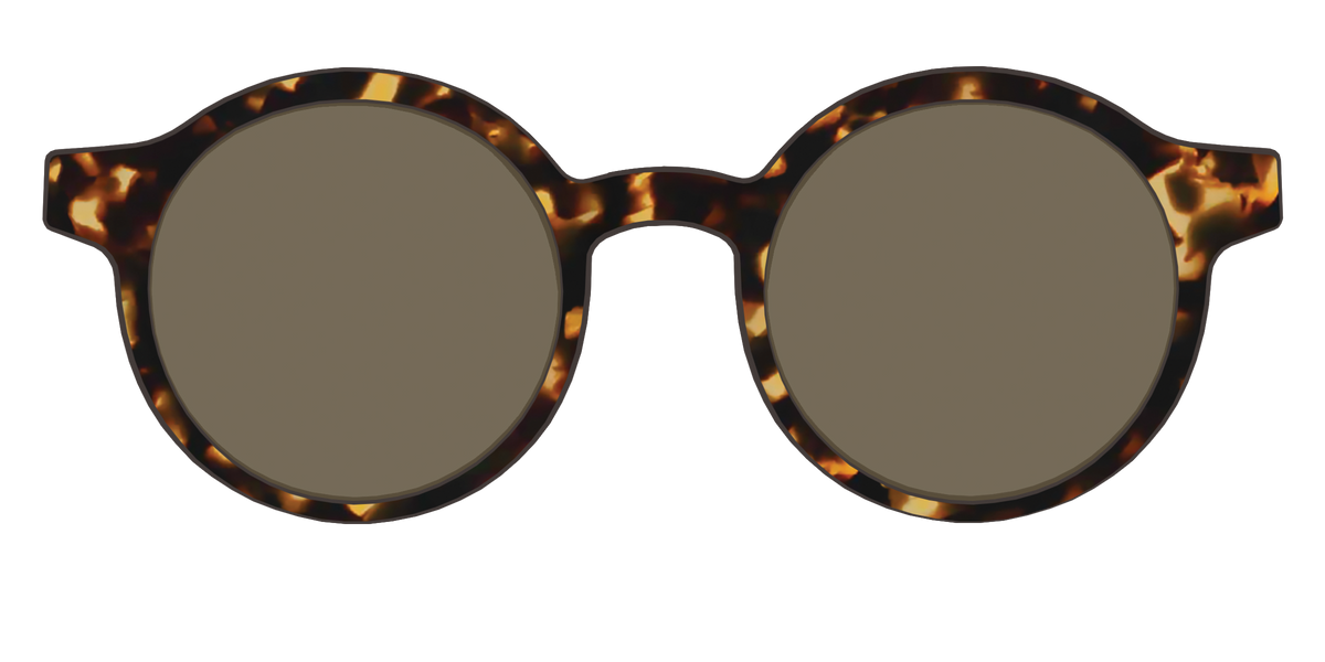 The Polarized Tortoise Sun Top - Front Top Image - Pair Eyewear
