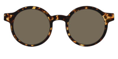 The Polarized Tortoise Sun Top - Front Top Thumbnail - Pair Eyewear