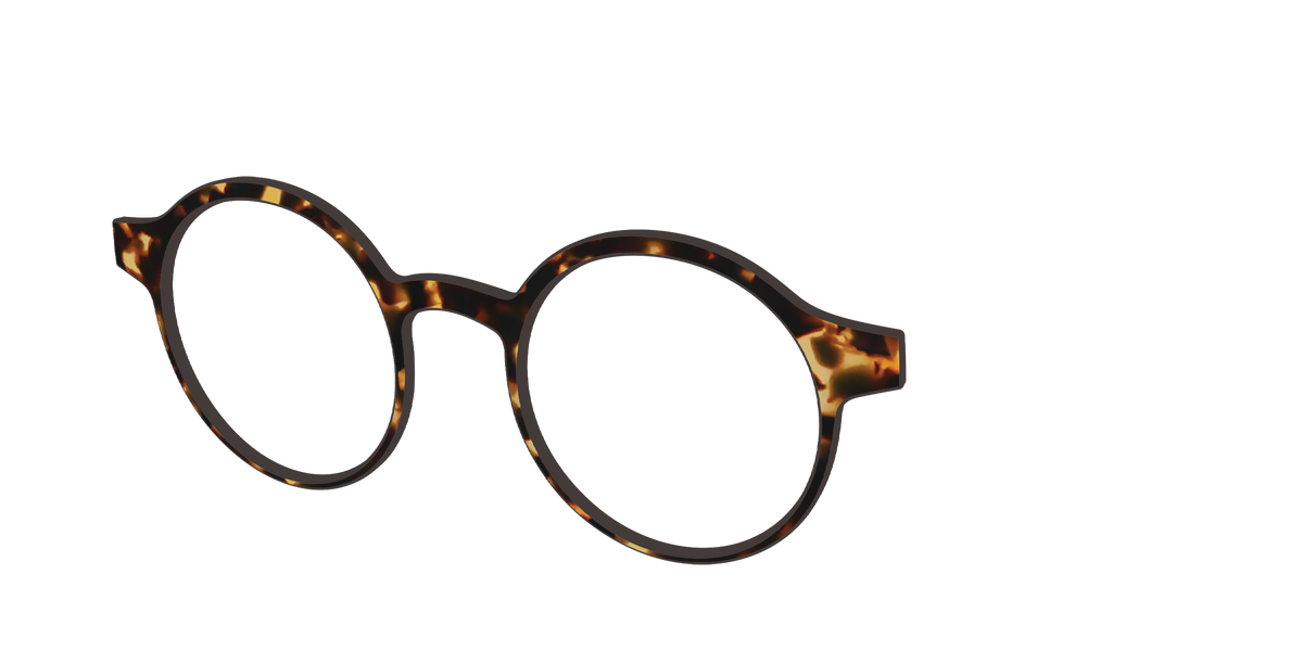The Tortoise - Angle Top Image - Pair Eyewear