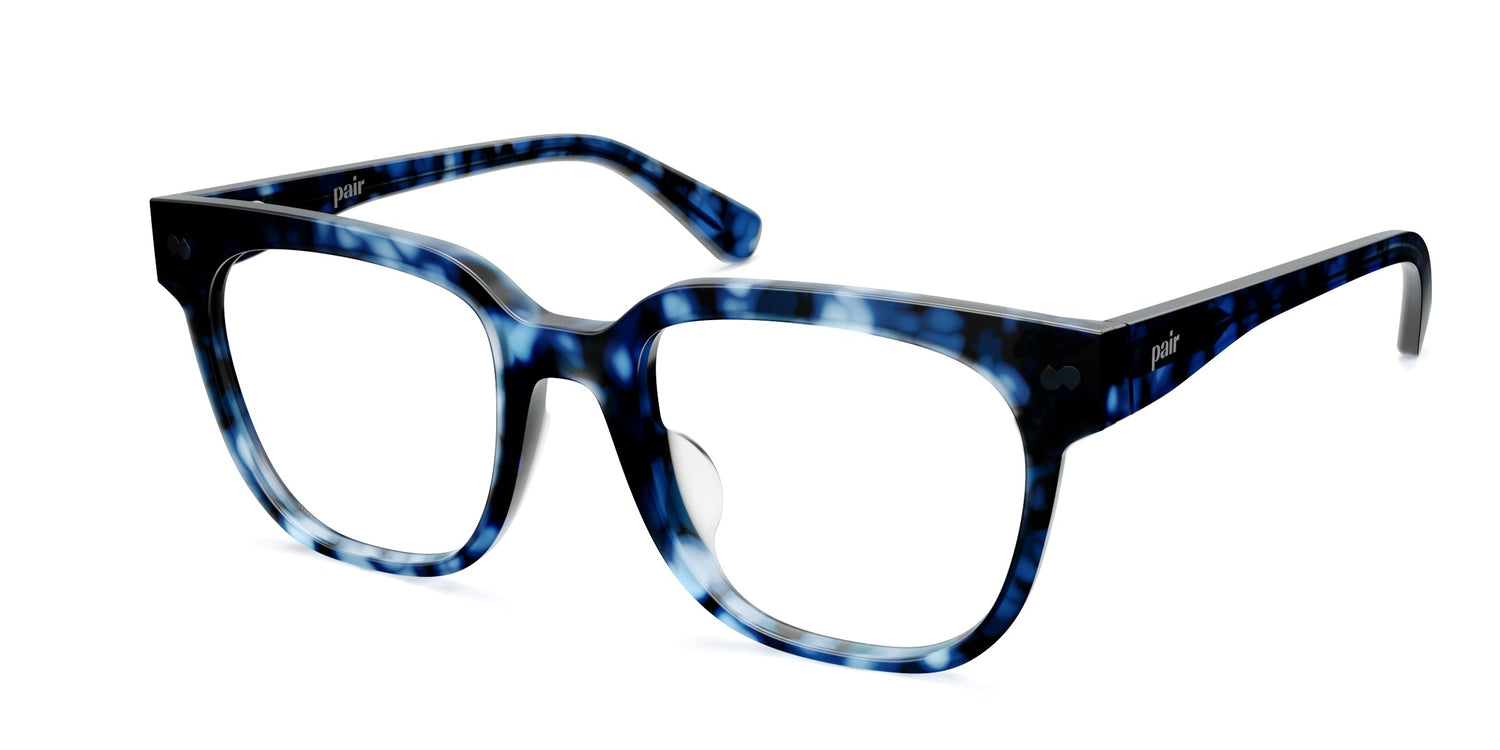 blue tortoise