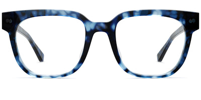 blue tortoise