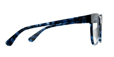 blue tortoise