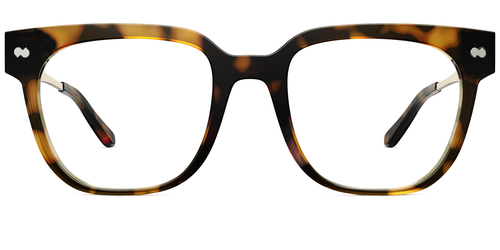 Mixed Material Tortoise Gold Metal