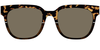 The Polarized Chic Tortoise Split Sun Top - Front Top Thumbnail - Pair Eyewear