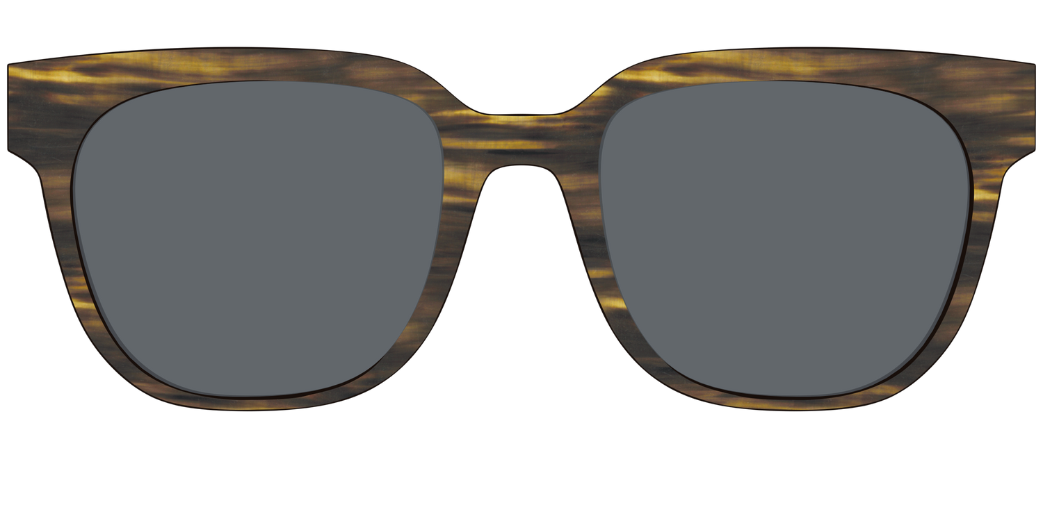 The Polarized Horn Sun Top - Front Top Image - Pair Eyewear