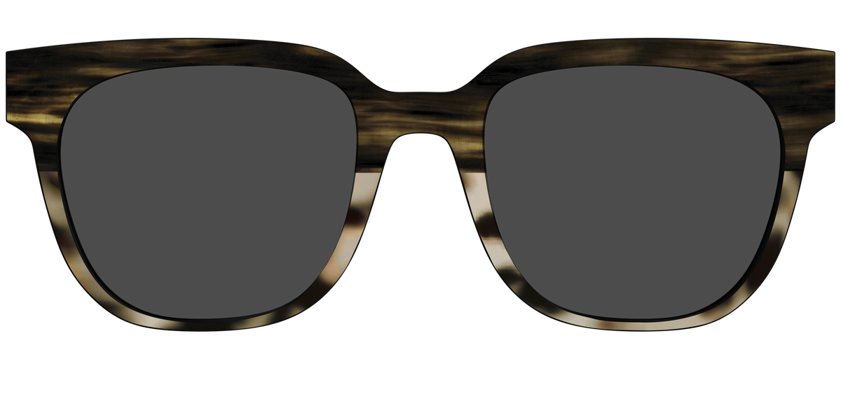 The Polarized Horn Tortoise Sun Top - Front Top Image - Pair Eyewear