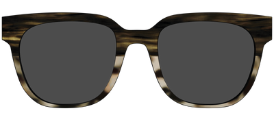 The Polarized Horn Tortoise Sun Top - Front Top Thumbnail - Pair Eyewear