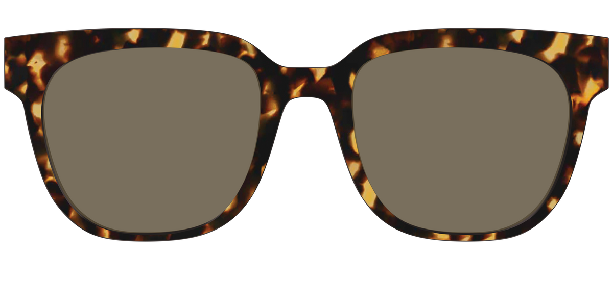 The Non-Polarized Tortoise Sun Top - Front Top Image - Pair Eyewear