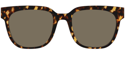 The Non-Polarized Tortoise Sun Top - Front Top Thumbnail - Pair Eyewear