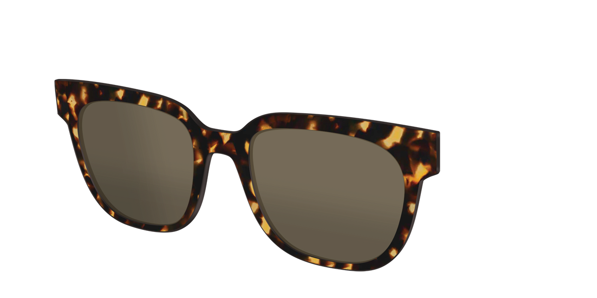The Non-Polarized Tortoise Sun Top - Angle Top Image - Pair Eyewear