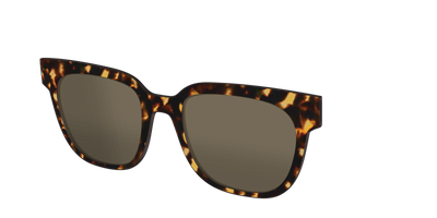 The Non-Polarized Tortoise Sun Top - Angle Top Thumbnail - Pair Eyewear