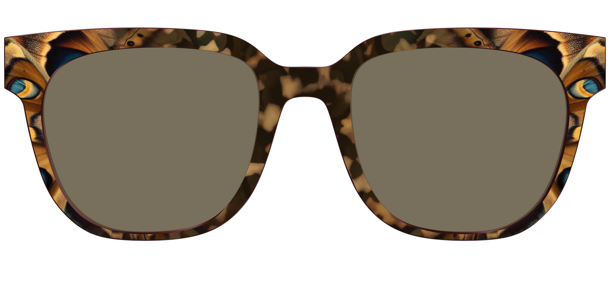 The Polarized Moth Wings Sun Top - Front Top Image - Pair Eyewear