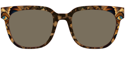 The Polarized Moth Wings Sun Top - Front Top Thumbnail - Pair Eyewear