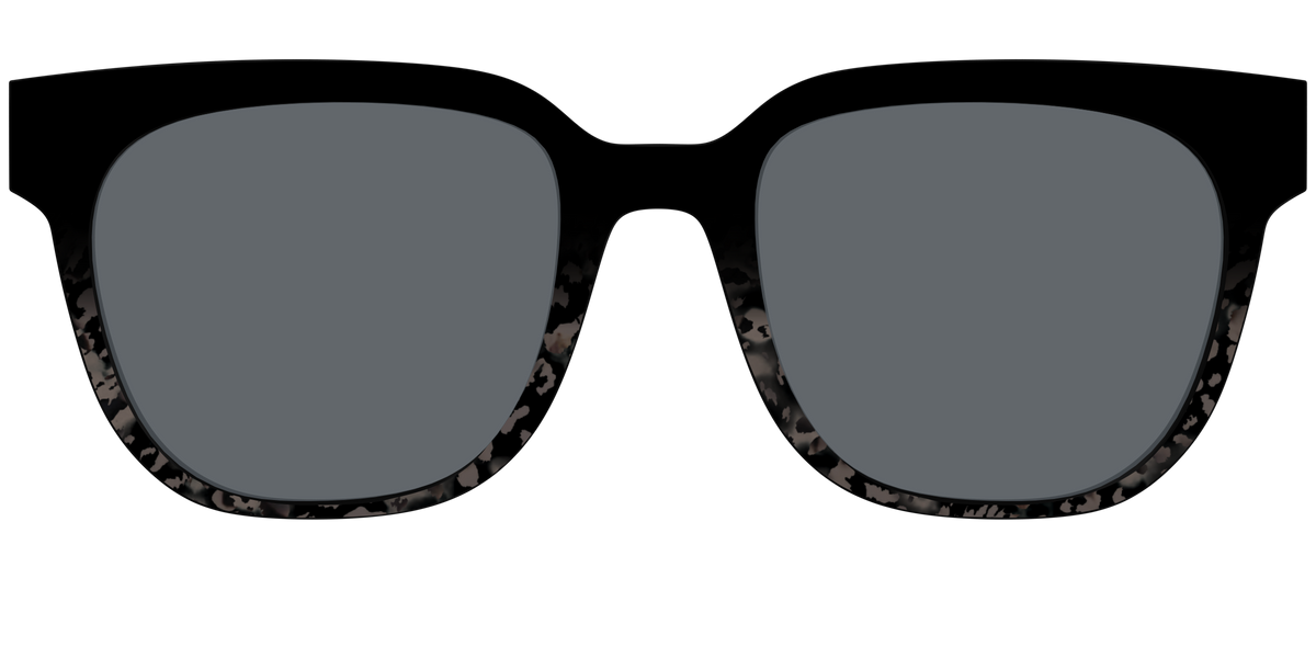 The Polarized Shaded Tortoise Sun Top - Front Top Image - Pair Eyewear