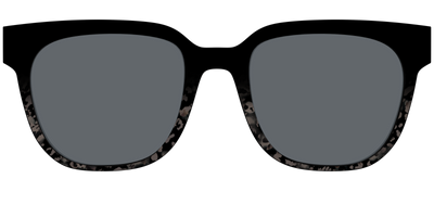 The Polarized Shaded Tortoise Sun Top - Front Top Thumbnail - Pair Eyewear