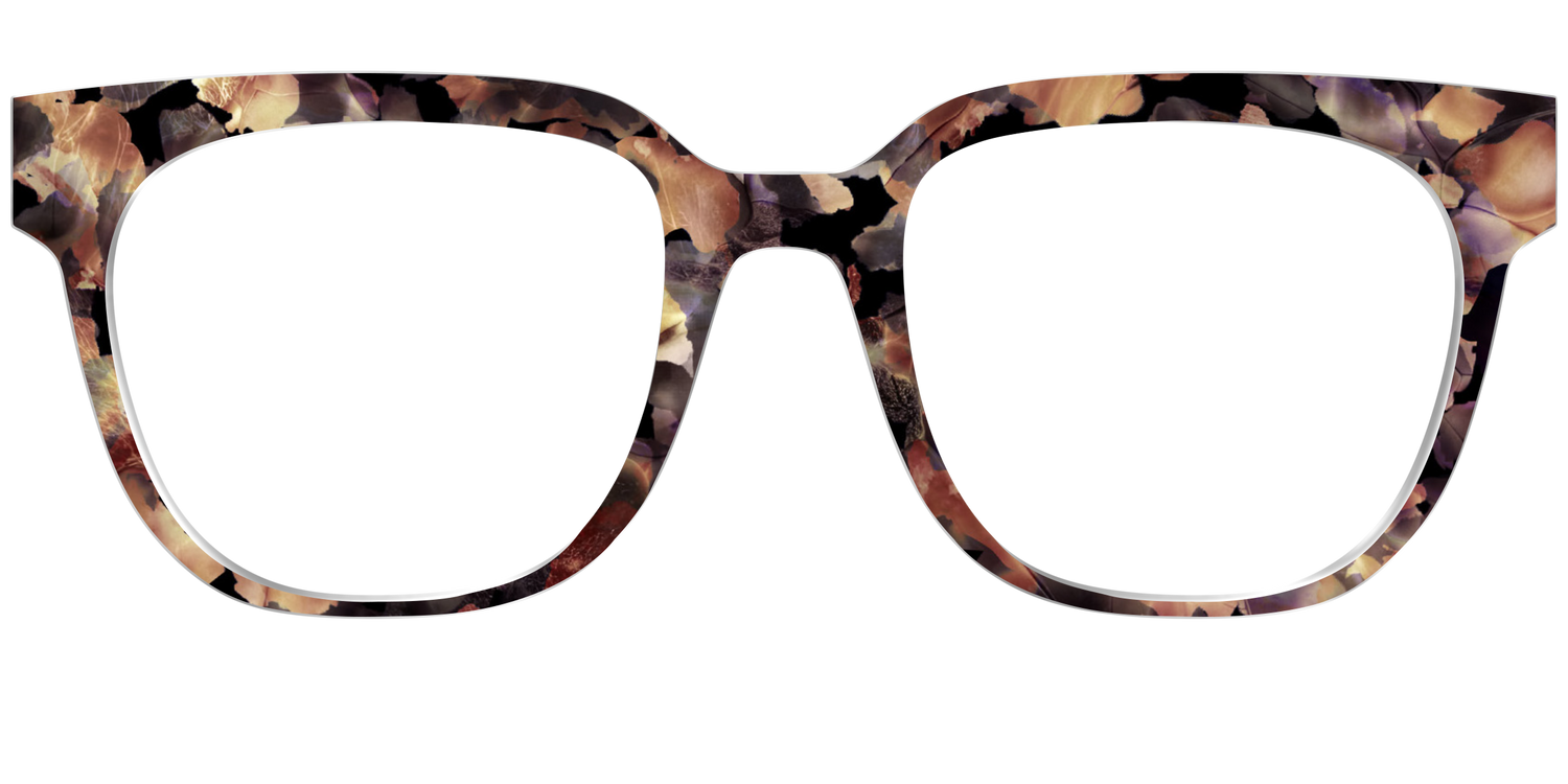 The Vintage Tortoise