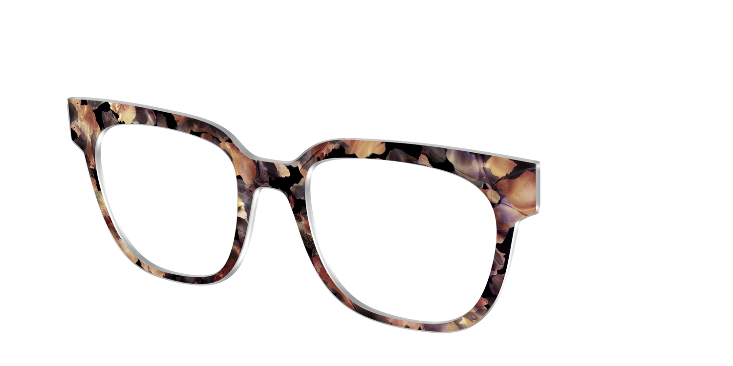 The Vintage Tortoise