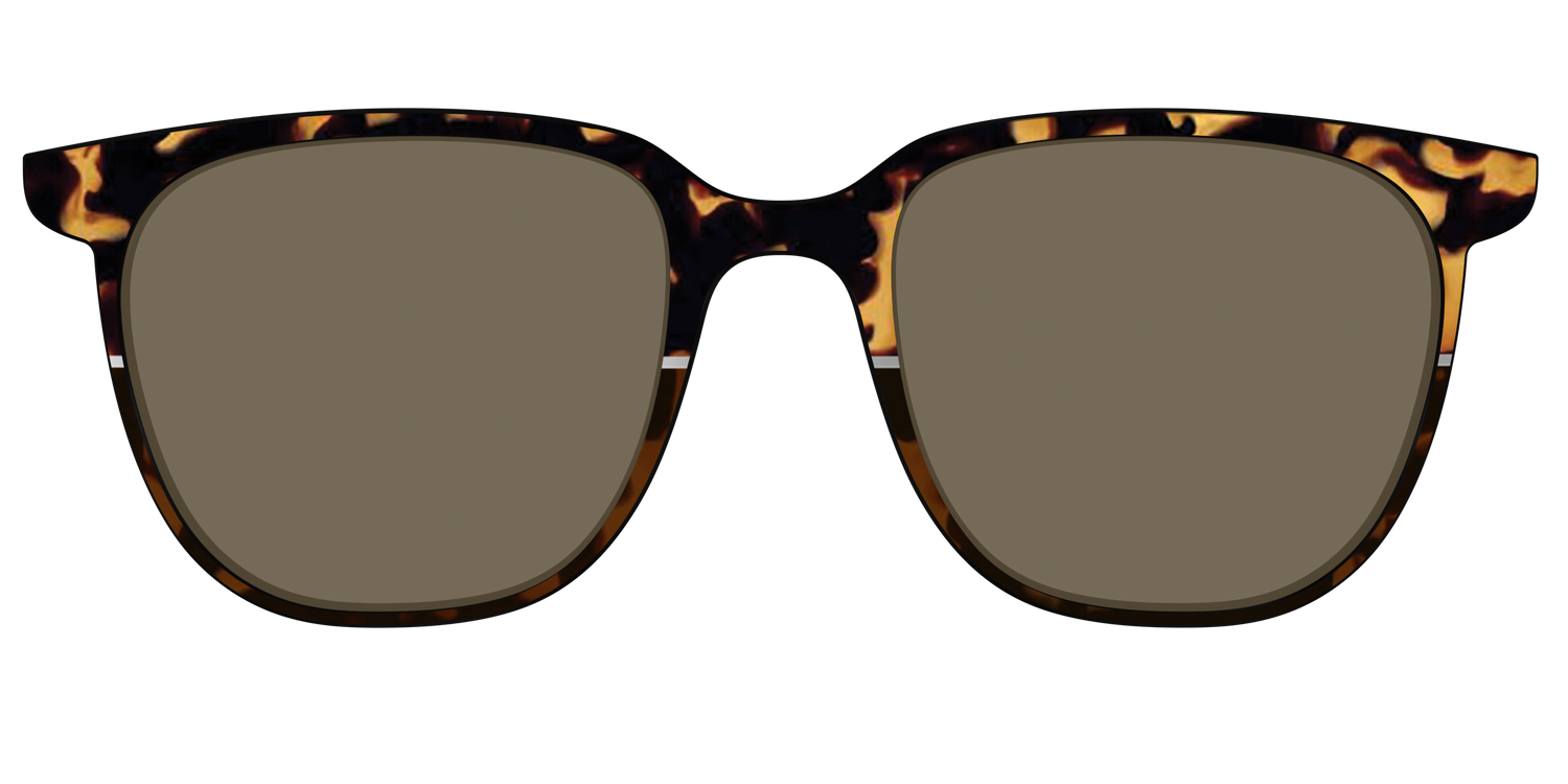 The Polarized Chic Tortoise Split Sun Top - Front Top Image - Pair Eyewear