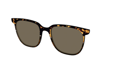 The Polarized Chic Tortoise Split Sun Top - Angle Top Thumbnail - Pair Eyewear