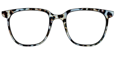 The Earl Grey Tortoise - Front Top Thumbnail - Pair Eyewear