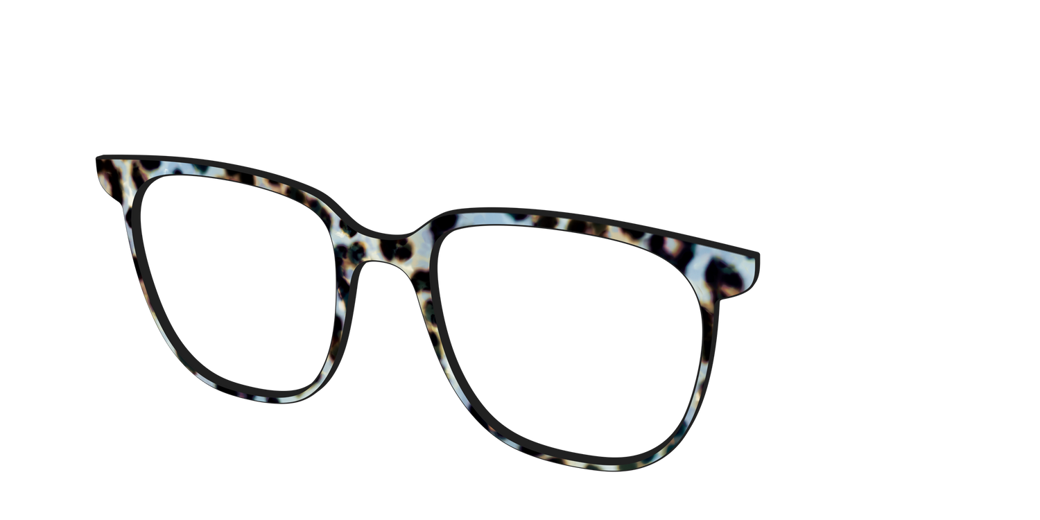 The Earl Grey Tortoise - Angle Top Image - Pair Eyewear